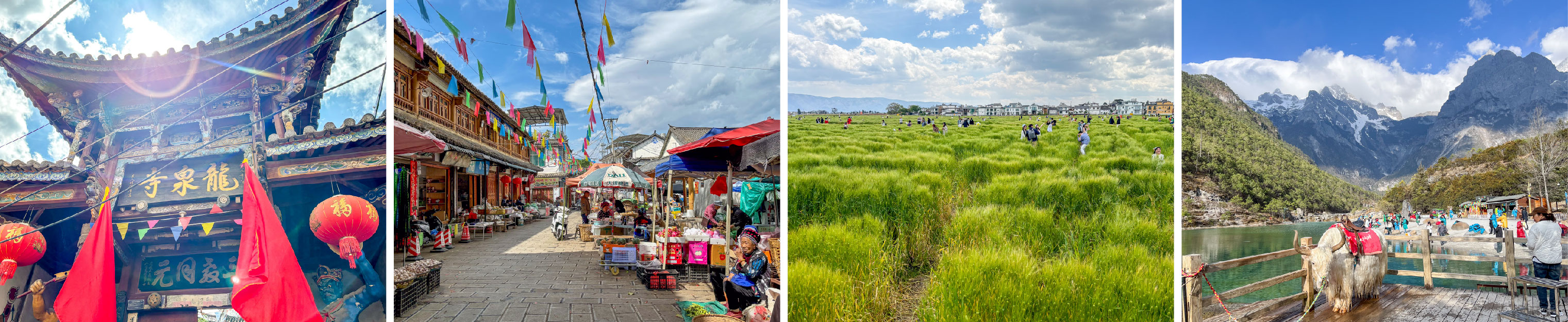 Yunnan landscapes