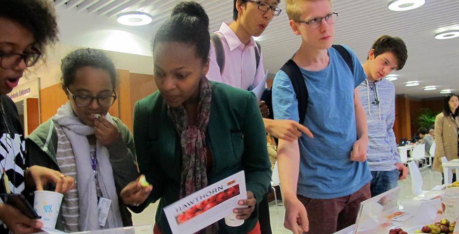 Chinese Fruit Tasting, an opportunity to learn about their nature and function in Chinese medicine on November 2nd, 2015. (Photo by NYU Shanghai)