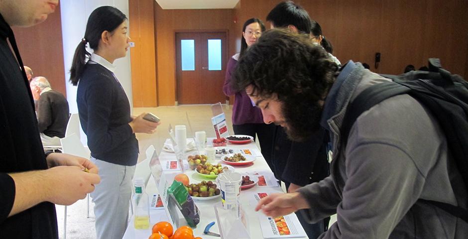 Chinese Fruit Tasting, an opportunity to learn about their nature and function in Chinese medicine on November 2nd, 2015. (Photo by NYU Shanghai)