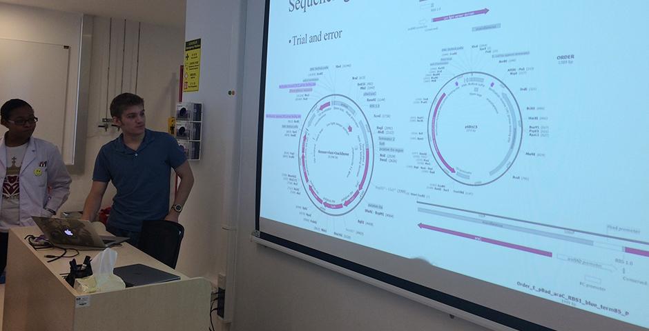 2015年7月30日， 上海纽约大学学生开展暑期项目，备战国际遗传工程机器设计竞赛。（摄影：詹章）