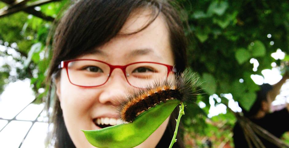 Community Service-in Chongming Island with Will Foundation (Photo by Sunyi Wang)