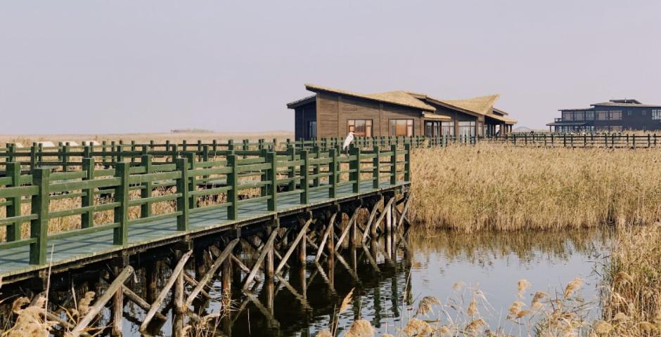 29 students and 2 staff members drove  to Dongtan Wetland Park on Chongming Island, where they did some bird-watching, learned about  marine garbage, and cleaned up debris littering the beach of Dongwangsha Ecological Dike.