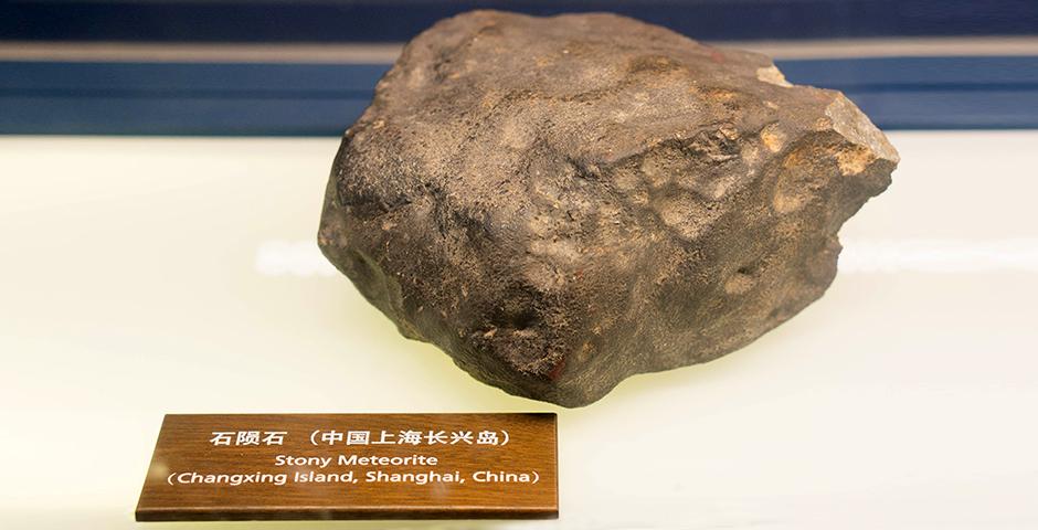 Foundation of Science students explored the Shanghai Natural History Museum, on a visit led by Professor David Fitch on May 17, and, earlier in the month, presented their Crystal Project work with instructors Lu Zhang, Wenshu Li and Lin Jin. (Photos by: NYU Shanghai)