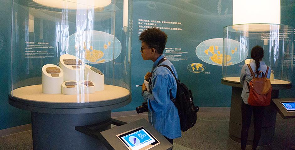 Foundation of Science students explored the Shanghai Natural History Museum, on a visit led by Professor David Fitch on May 17, and, earlier in the month, presented their Crystal Project work with instructors Lu Zhang, Wenshu Li and Lin Jin. (Photos by: NYU Shanghai)