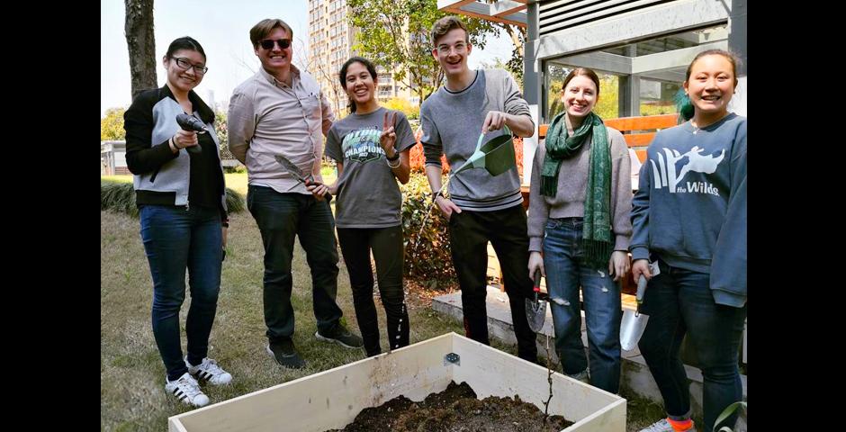 More than 20 students and faculty members have been actively working on the NYU Shanghai Urban Farm project. The campus farm grows produce and other plants for community use.