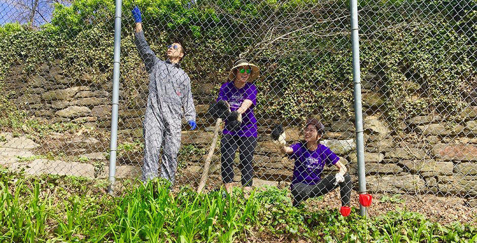 On behalf of NYU’s second annual Global Day of Service on April 28, a group of NYU Shanghai and NYU alumni helped with the revitalization a national landmark, New York City’s Fort Tryon Park. “It was amazing to be able to take a step back and appreciate nature while restoring one of the city’s gems.” said Mike Chen ‘17, Global Alumni Chair of NYU Shanghai.