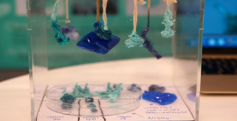 Foundation of Science students explored the Shanghai Natural History Museum, on a visit led by Professor David Fitch on May 17, and, earlier in the month, presented their Crystal Project work with instructors Lu Zhang, Wenshu Li and Lin Jin. (Photos by: NYU Shanghai)