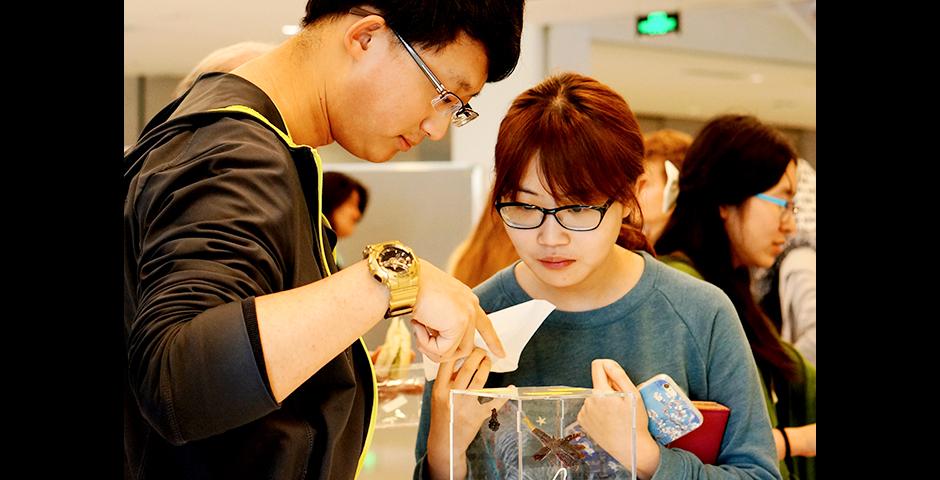 Foundation of Science students explored the Shanghai Natural History Museum, on a visit led by Professor David Fitch on May 17, and, earlier in the month, presented their Crystal Project work with instructors Lu Zhang, Wenshu Li and Lin Jin. (Photos by: NYU Shanghai)