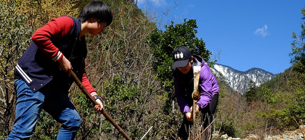 Summer Undergraduate Research Opportunities